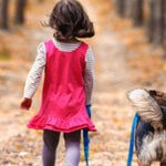 leishmaniasis en perros