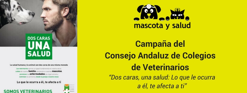 Mascota-y-salud-dos-caras-una-salud