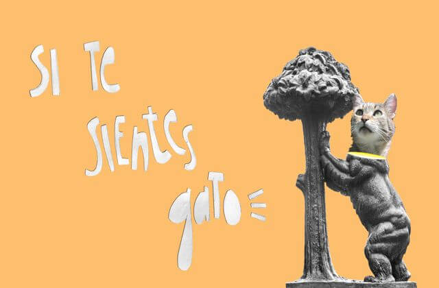 La inscripción es gratuita e incluye material didáctico.