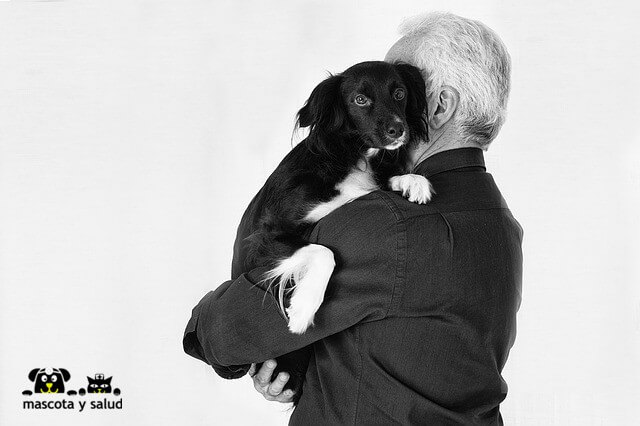 Los beneficios de tener una mascota implican a las personas en cualquier rango de edad