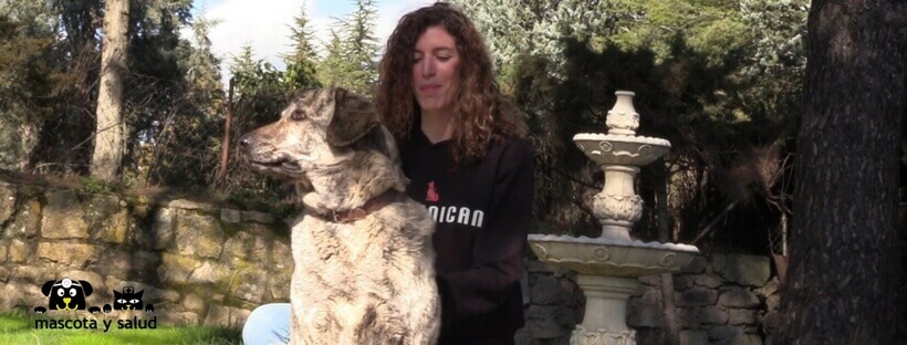 Educar perros con la adiestradora canina de Comunican