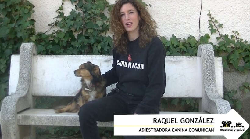 Raquel González, experta en adiestramiento de Comunican, junto a su perro Chispi.