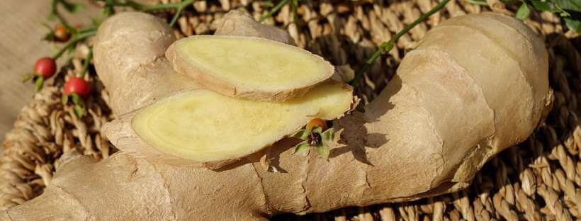Suplementos alimenticios, jengibre.