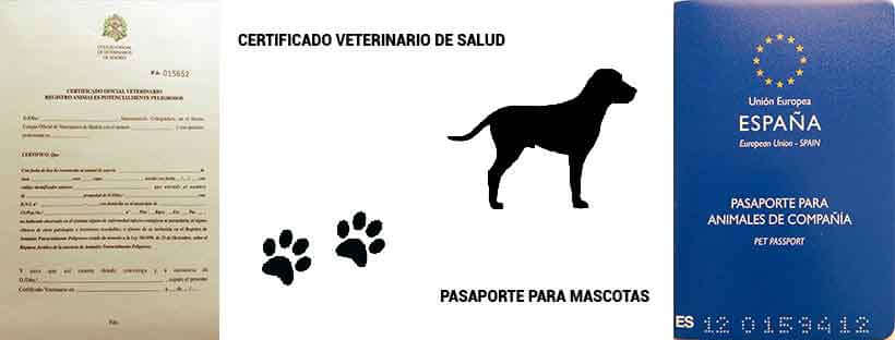Pasaporte y certificado de salud de mascotras