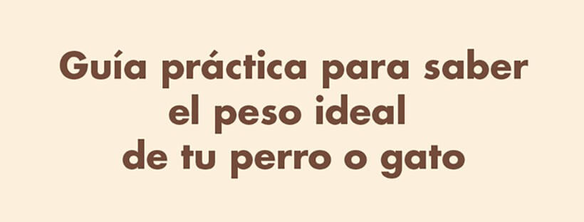 Guía Práctica para saber el peso ideal de tu perro o gato