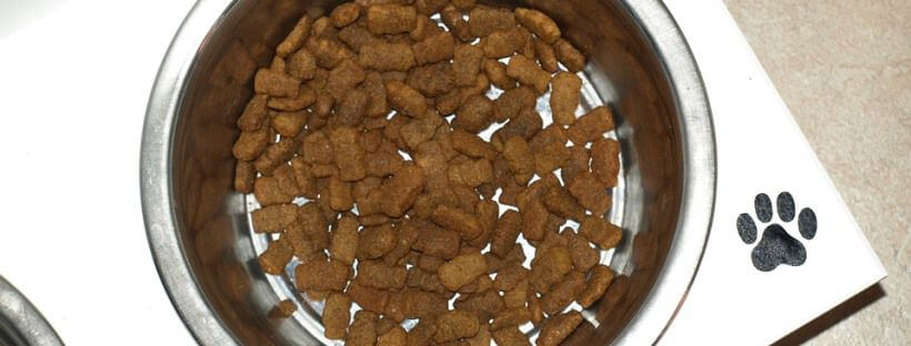 Comida para perros en un recipiente de metal.