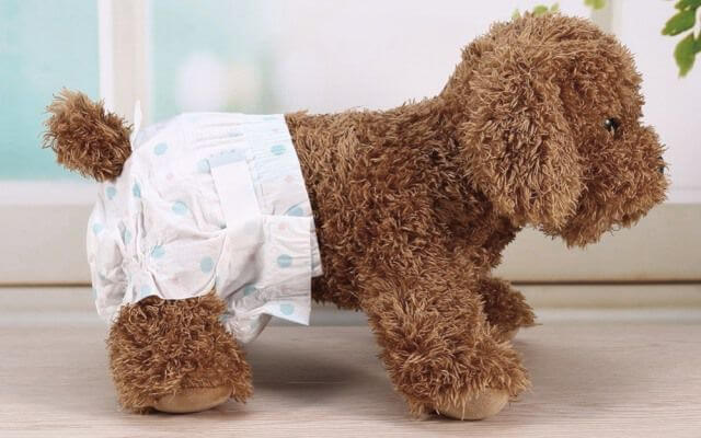 Perro con un pañal puesto.