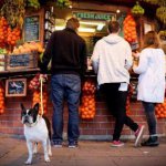 Las frutas que son más importantes para los perros.