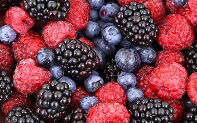 que verduras y frutas pueden comer los perros