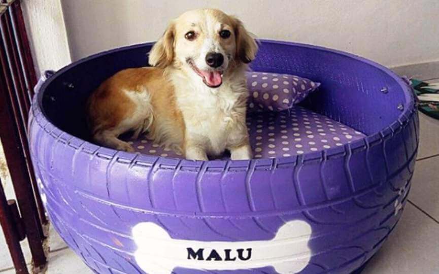 Cama para perro que antes era un neumático