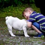 Chico juega con su perro