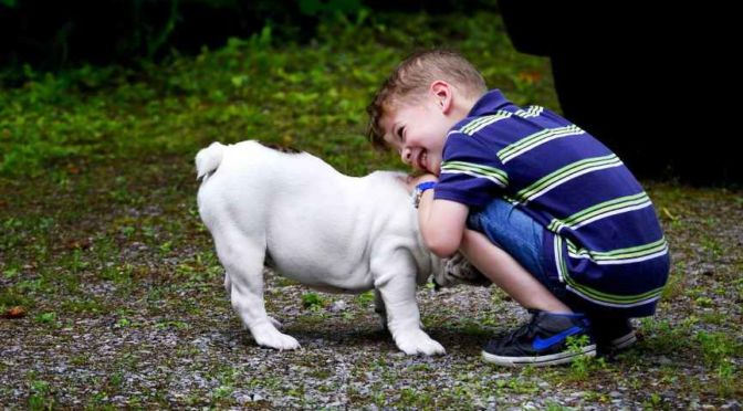 Chico juega con su perro