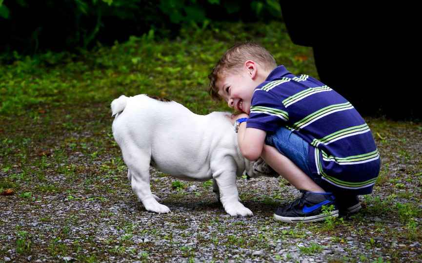 Chico juega con su perro