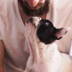 RICKETTSIA EN PERROS