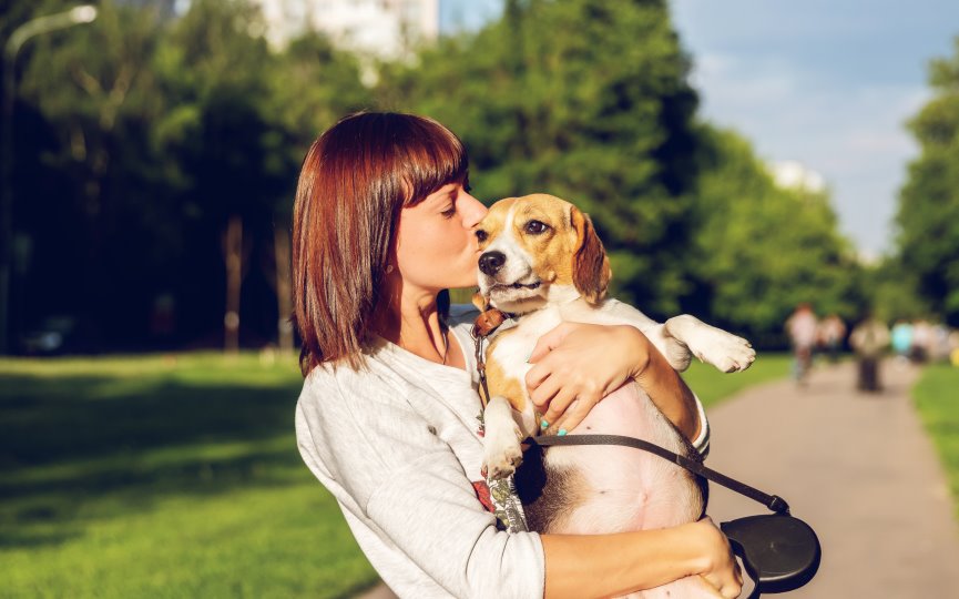 Españoles prefieren su mascota a los humanos