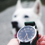 EL CAMBIO DE HORA EN LOS PERROS