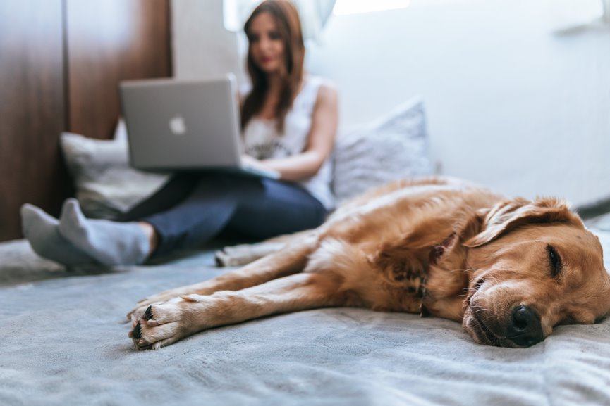 PERRO Y DUEÑA TRAS CAMBIO HORARIO