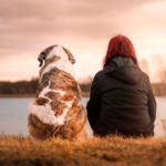TENER PERRO REDUCE RIESGOS CARDIOVASCULARES