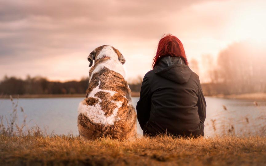 TENER PERRO REDUCE RIESGOS CARDIOVASCULARES