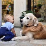PERROS REDUCEN RIESGO DE PADECER ESQUIZOFRENIA