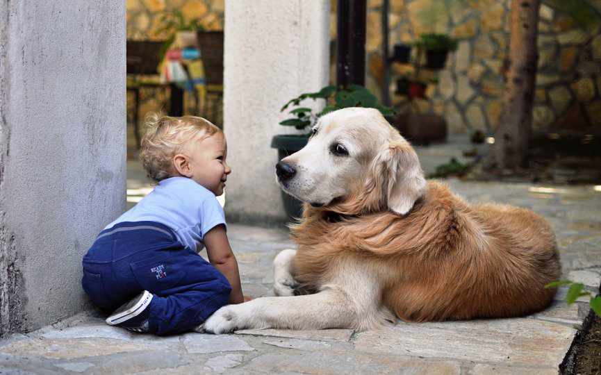 PERROS REDUCEN RIESGO DE PADECER ESQUIZOFRENIA