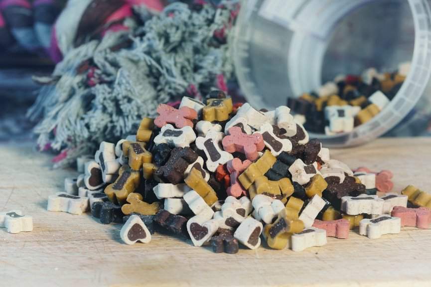 ALIMENTOS PARA MASCOTAS
