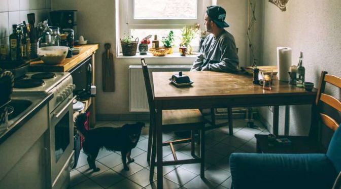 perro en cocina
