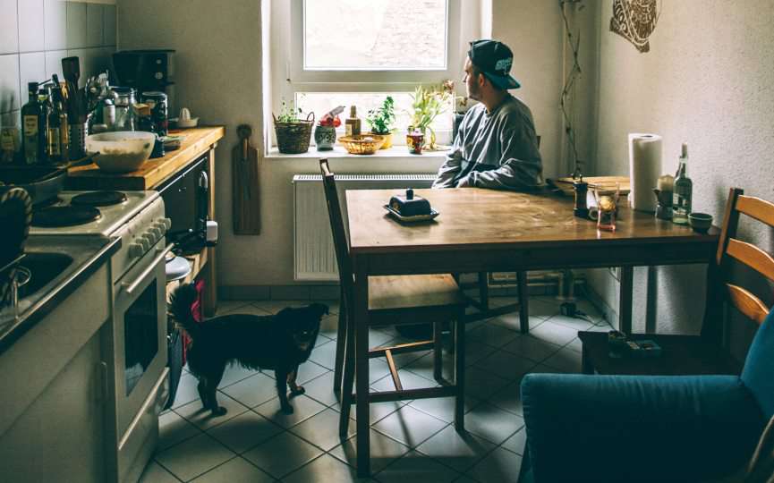 perro en cocina