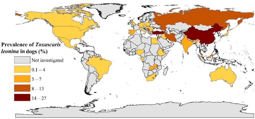 mapa de prevalencia de toxascaris leonina