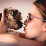 soplar a un perro en la cara