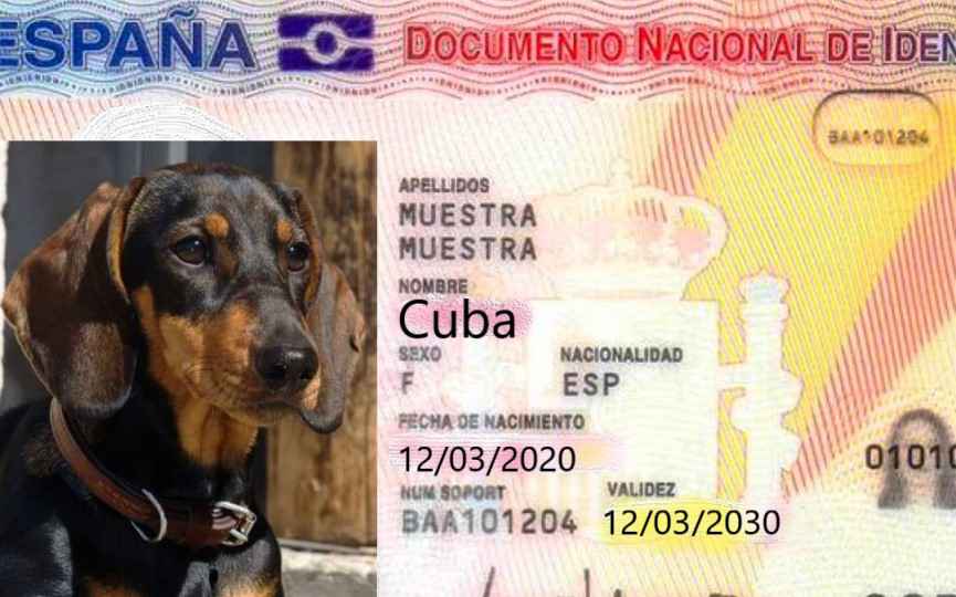 DNI Animal por el Anteproyecto de Ley
