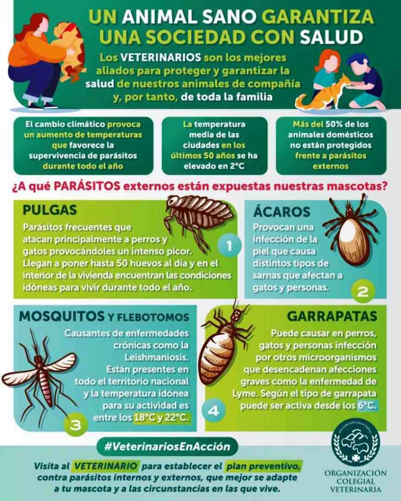 parásitos externos