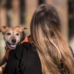 perro propietaria covid