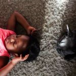 perros y gatos fuente de bienestar para niños