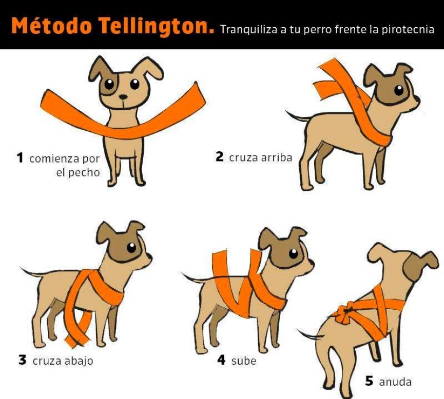 Vendaje Método Tellington Ttouch