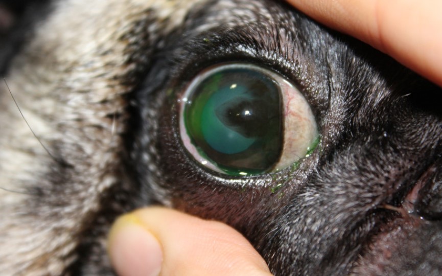 Queraconjuntivitis seca