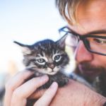 Por qué mi gato no es sociable