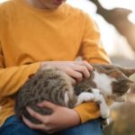 qué gato elegir con niños pequeños en casa