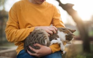 qué gato elegir con niños pequeños en casa