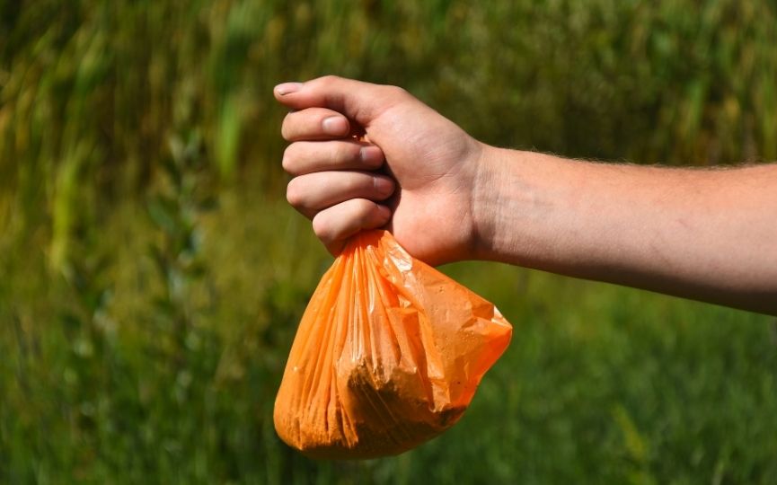 bolsas de excrementos para perros en el campo