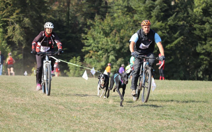 bikejoring con perro