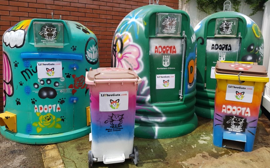 dónde hay gatos ferales