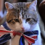 Larry el gato de Downing Street