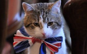 Larry el gato de Downing Street