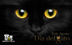 Día del Gato