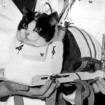 felicette gata espacio
