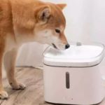 fuente de agua inteligente para mascotas