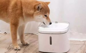 fuente de agua inteligente para mascotas