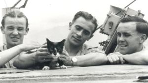 El gato Sam héroe de guerra