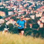 lesiones habituales en perros que practican deporte
